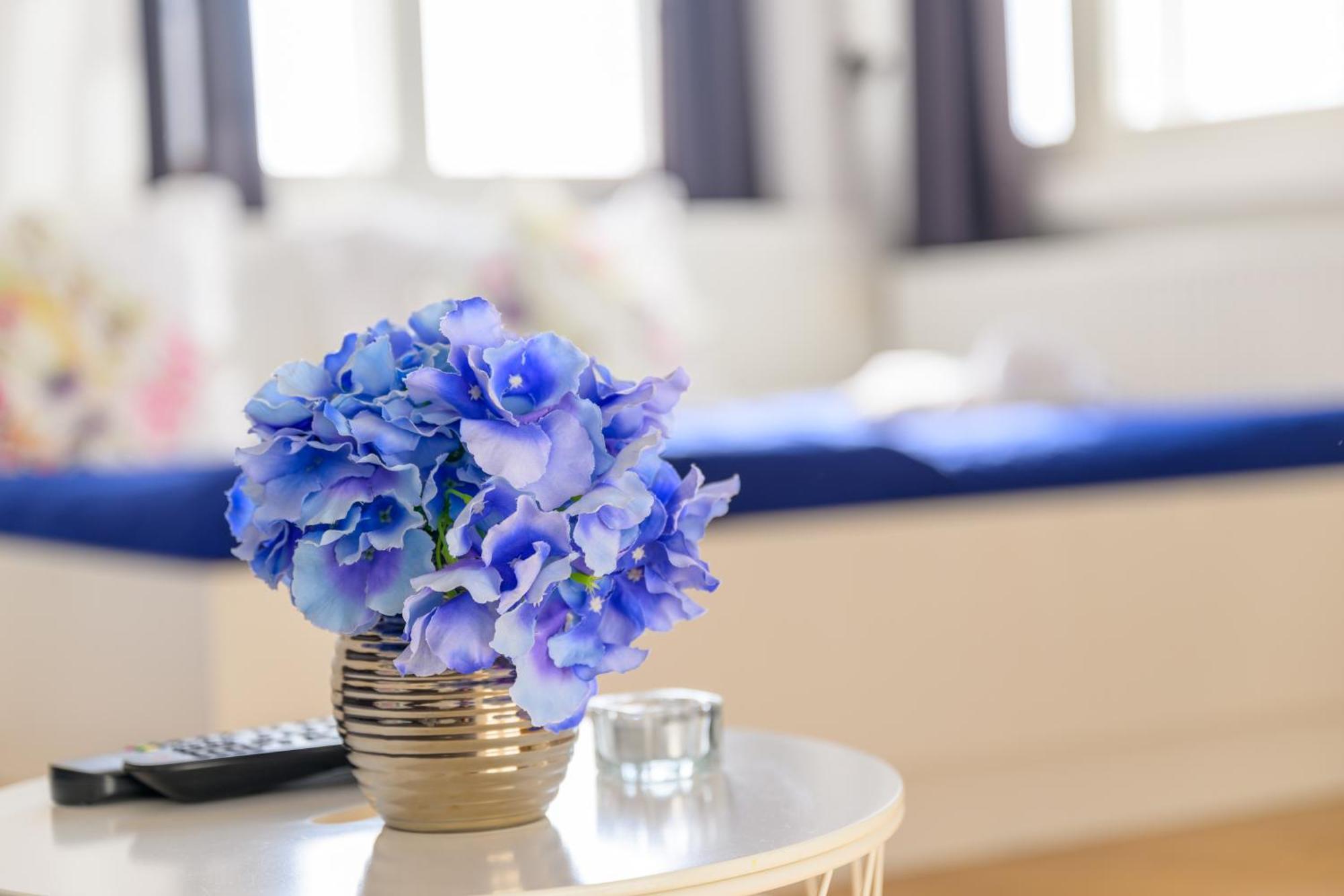 Niva rooms&studio apartment Zagabria Esterno foto